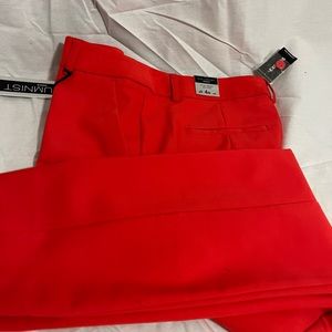 NWT- Express Columnist Ankle Pants